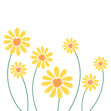 yellow flowers